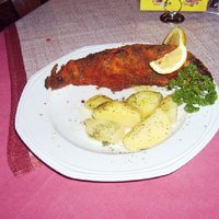 gebackener Karpfen mit Kartoffeln