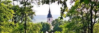 Kirchturm zwischen Bäumen